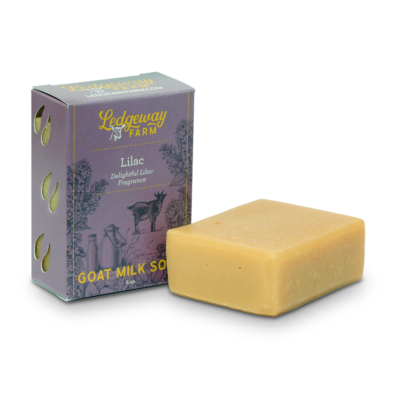 Lilac goat milk soap at an angle with the packaging.