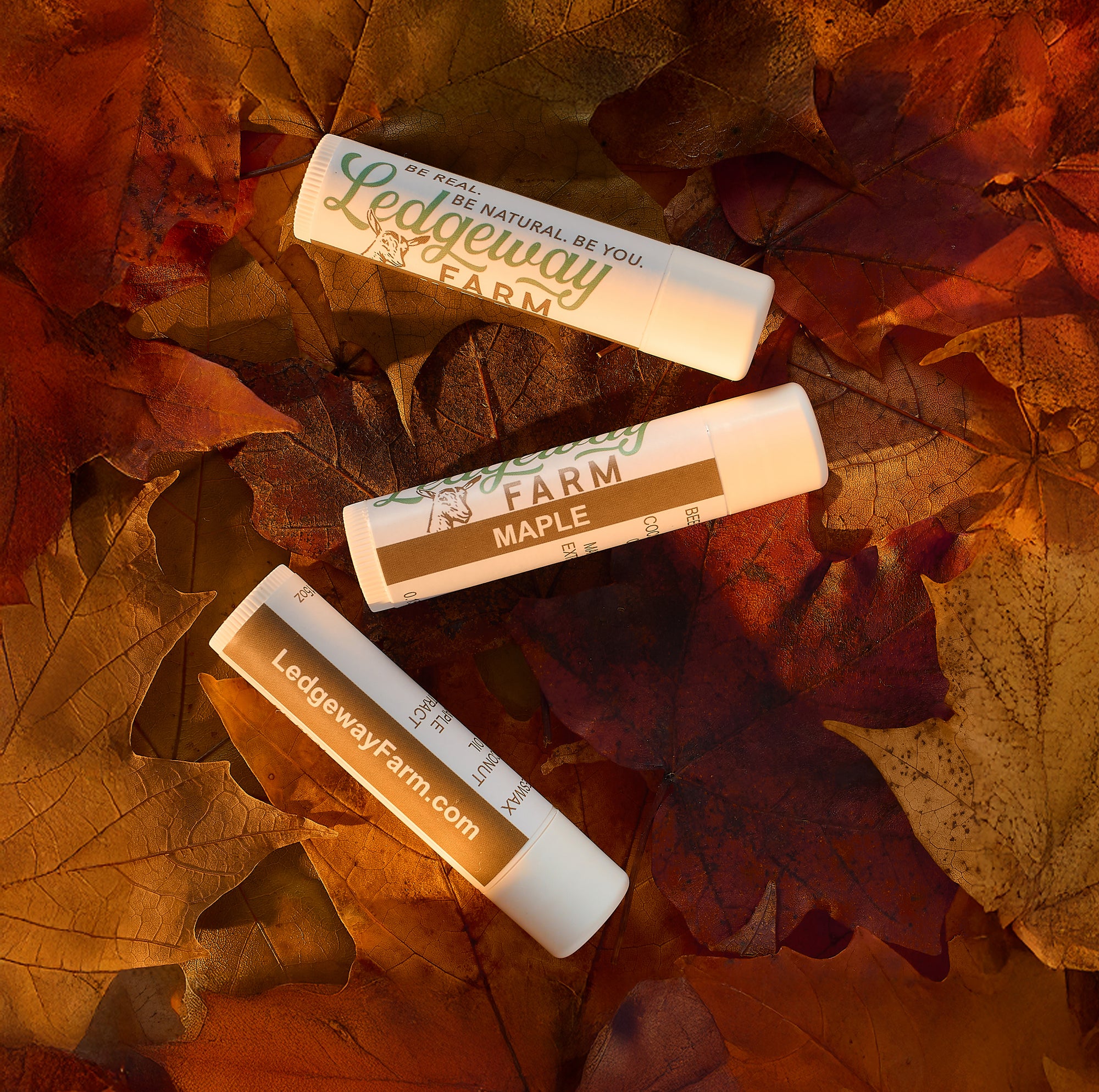 Three Ledgeway Farm lip balm products on a bed of autumn leaves