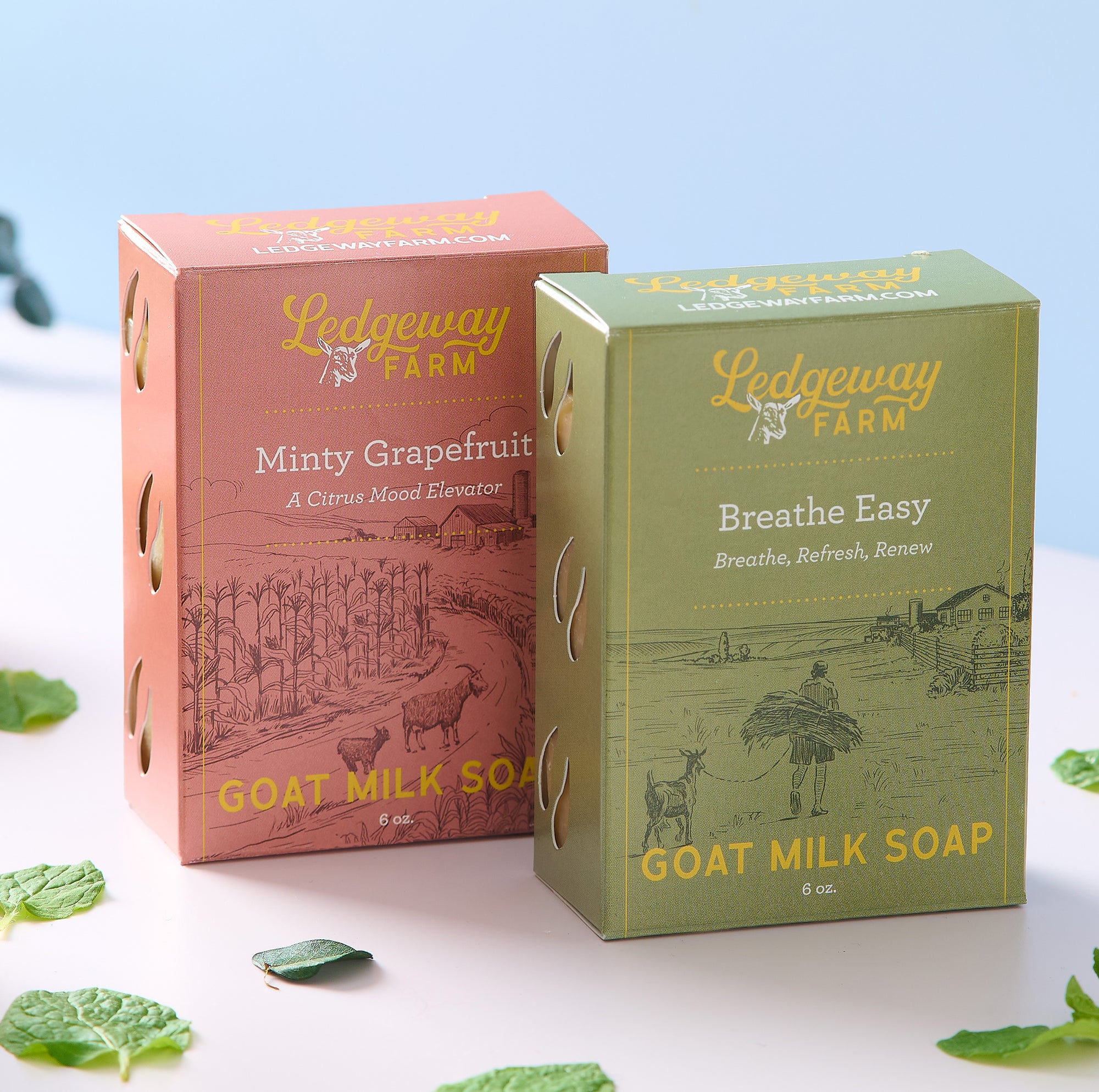 Two boxes of Ledgeway Farm goat milk soap on a light background with mint leaves.
